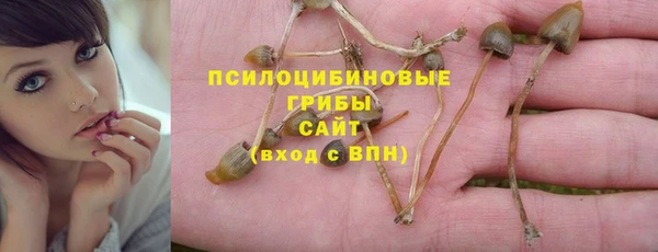 экстази Арсеньев
